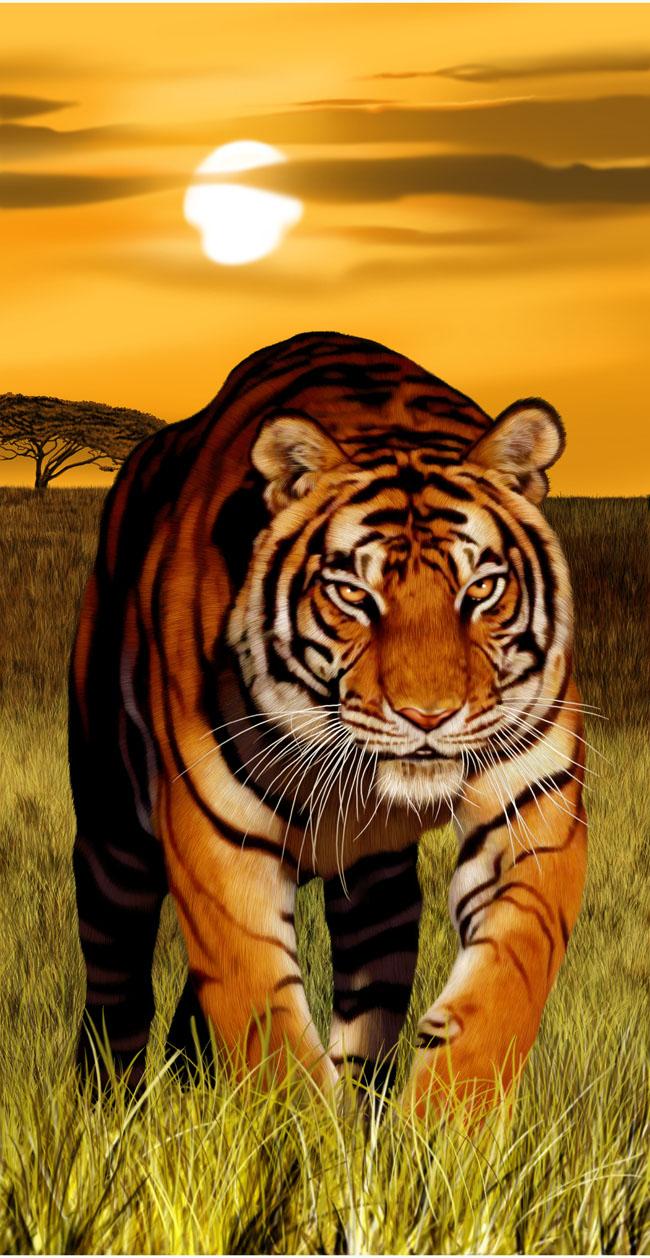 BENGAL TIGER TOWEL